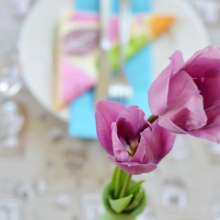 Apartment Elza ザダル エクステリア 写真