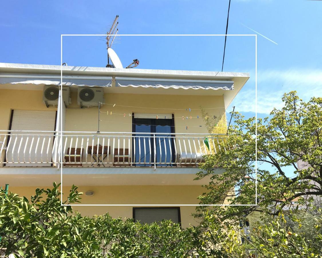 Apartment Elza ザダル エクステリア 写真